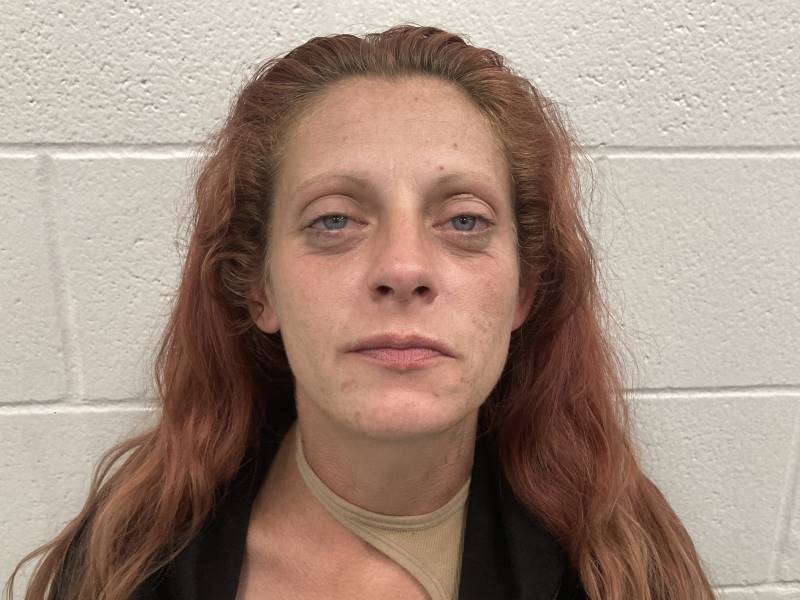 Booking photo of Jessica Spears