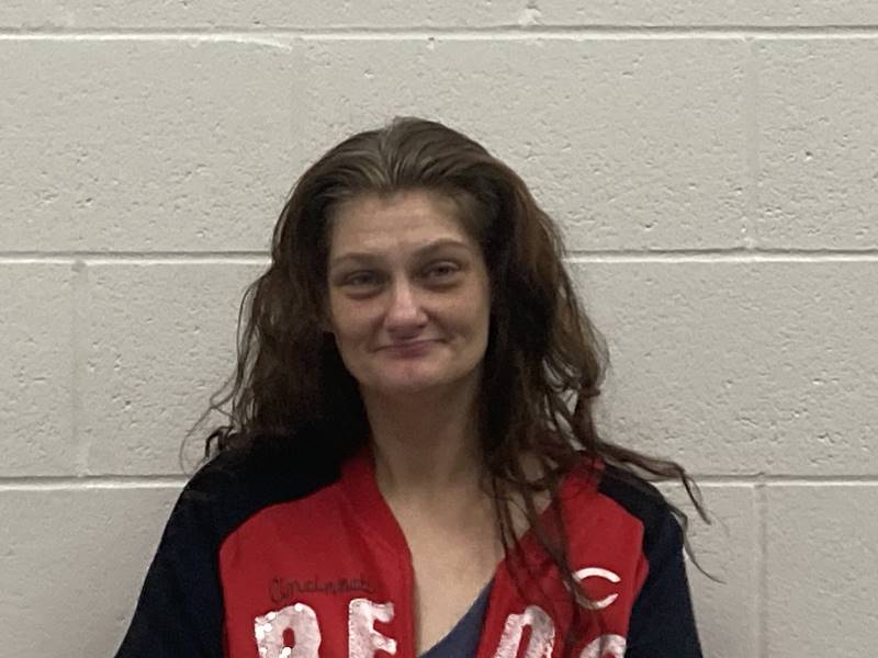 Booking photo of Katrina Theodorovich