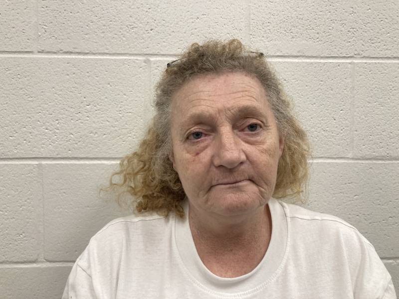 Booking photo of Donna Roberts