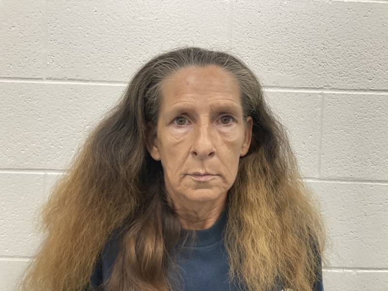 Booking photo of Michelle Miller