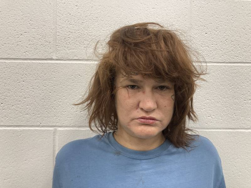 Booking photo of Heather Cook
