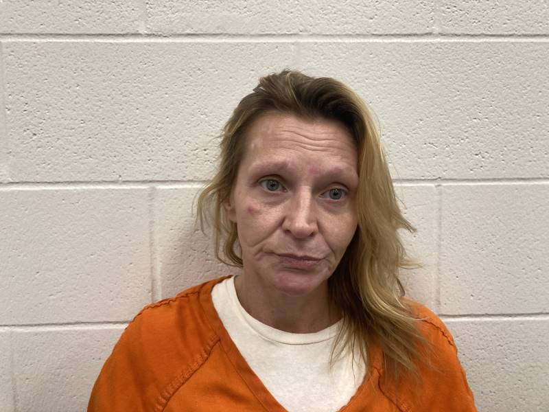 Booking photo of Jessica Arnold