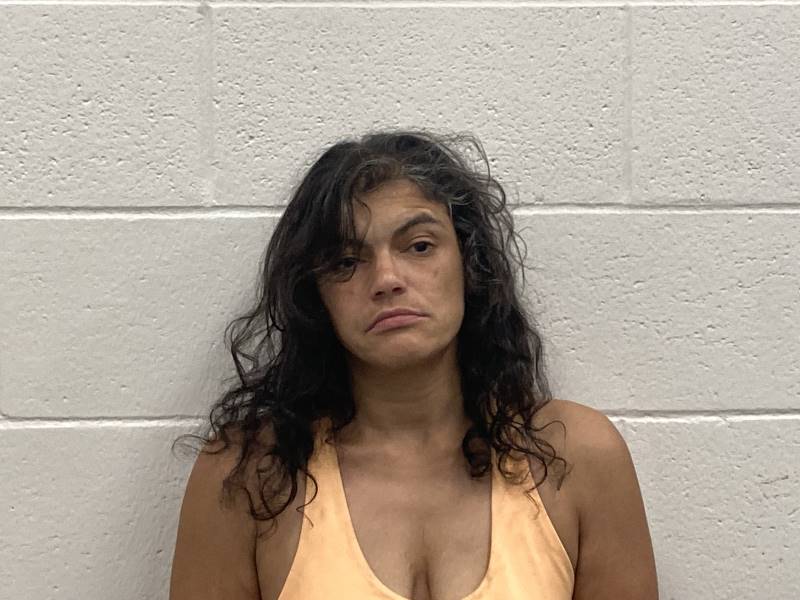 Booking photo of Sandra Caterina