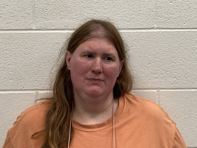 Booking photo of Tracy Lee