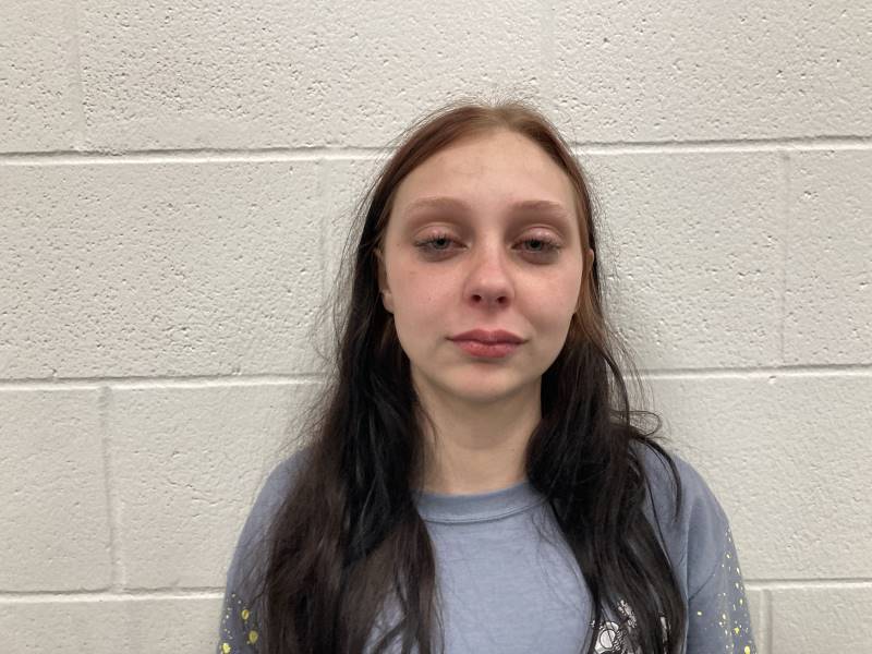 Booking photo of Randi Henry