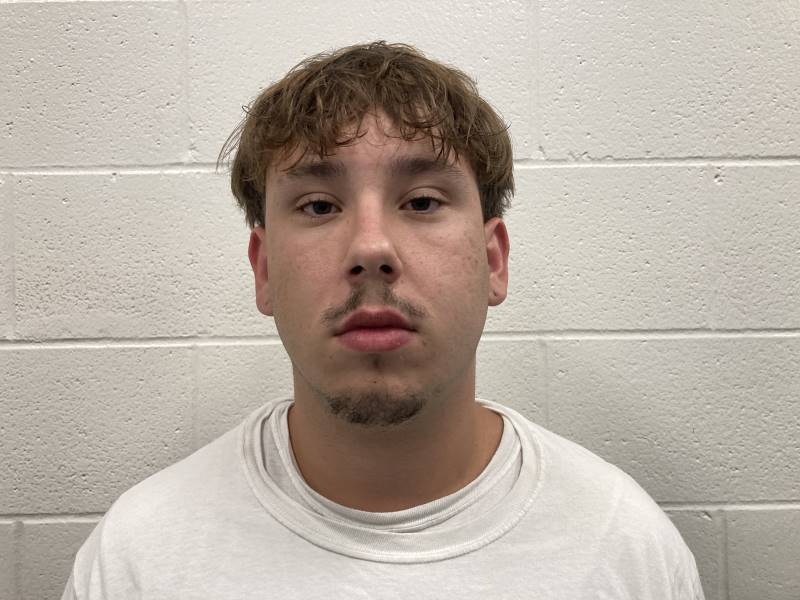 Booking photo of Adyn Seibert
