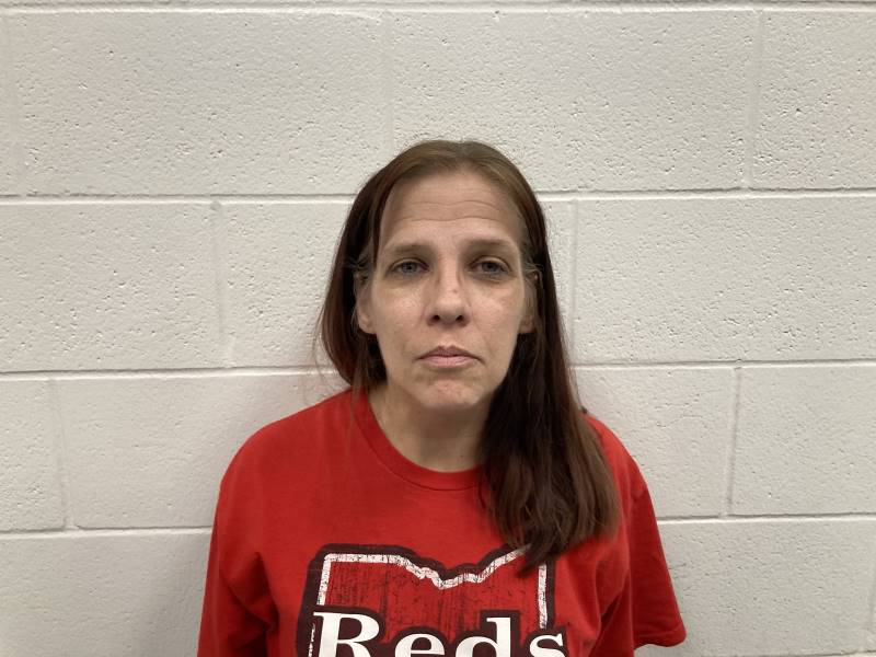 Booking photo of Megan Huddleston