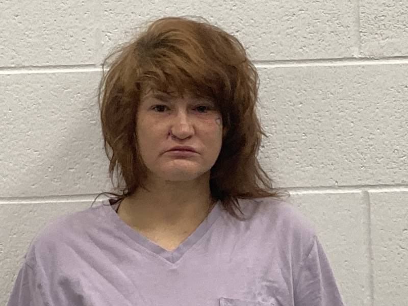 Heather Cook booking photo