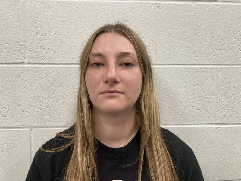 Booking photo of Erica Jansen