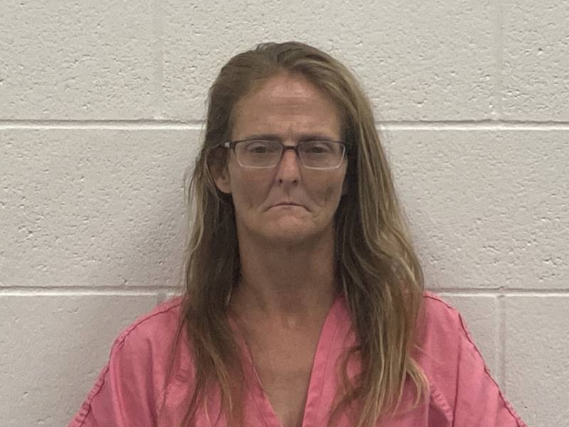 Constance Mcafee booking photo