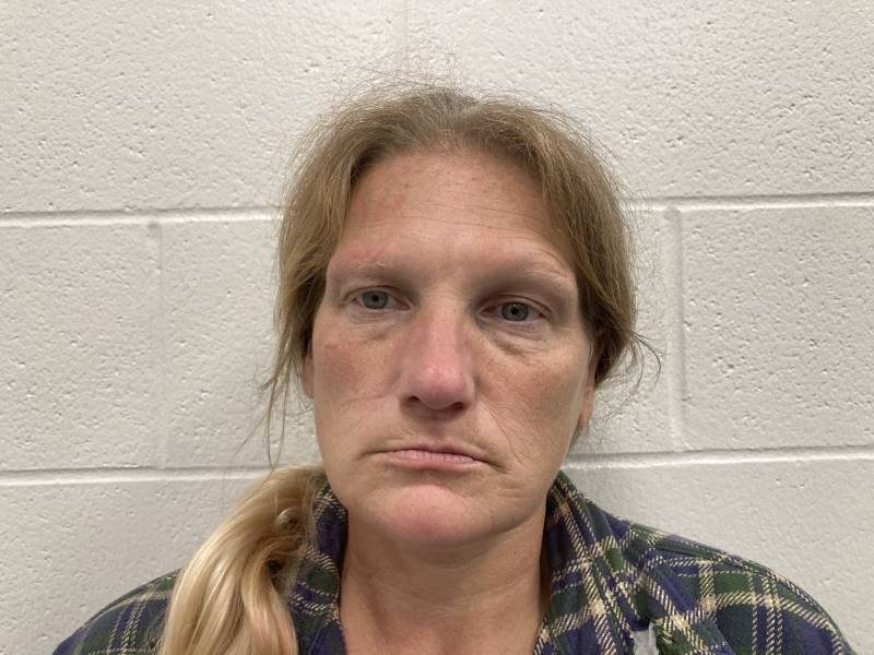 Booking photo of Deborah Hoplight