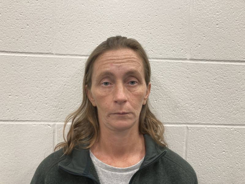 Booking photo of Karen Foltz