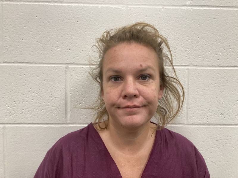 Booking photo of Natosha Roudebush