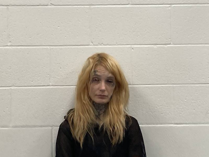 Booking photo of Britney Couch