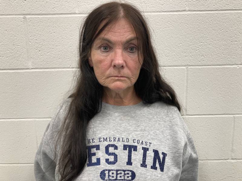 Booking photo of Holly Powell
