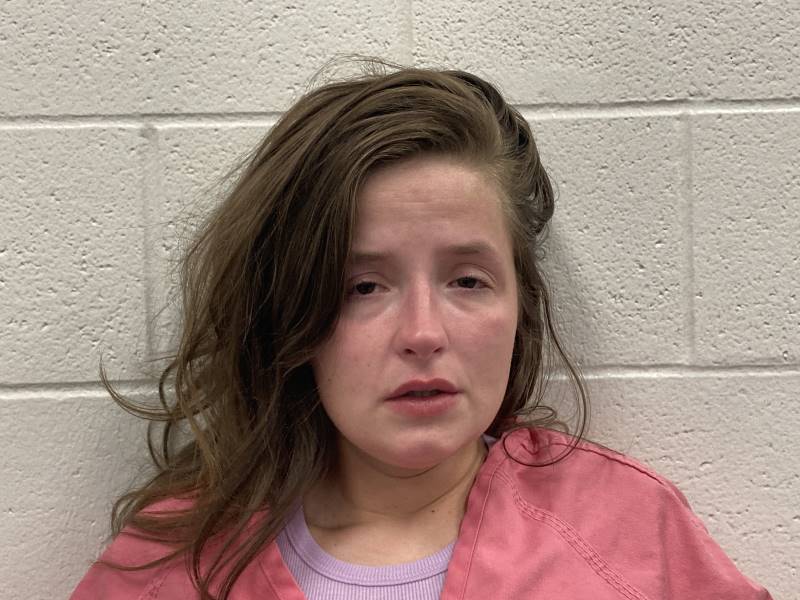 Booking photo of Candace Willis