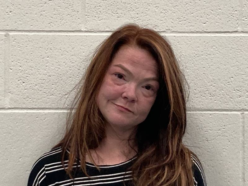 Booking photo of Jenny Parker
