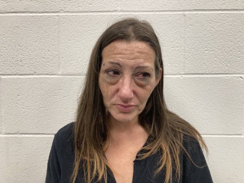 Booking photo of Brandie Crank