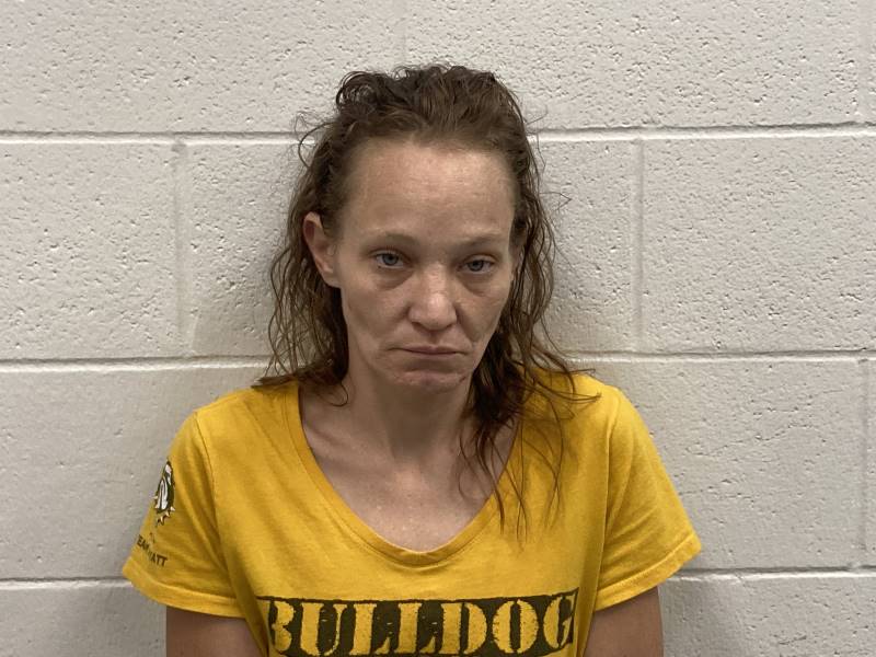 Booking photo of Heather Lohbeck