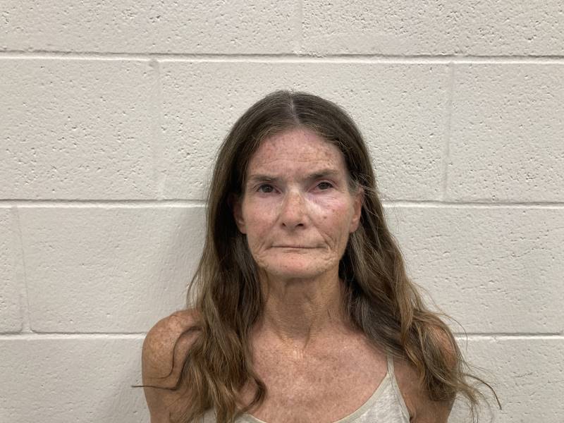 Booking photo of Danita Harrington