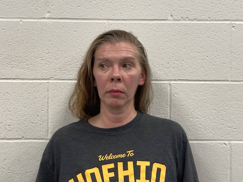 Booking photo of Sara Haarman