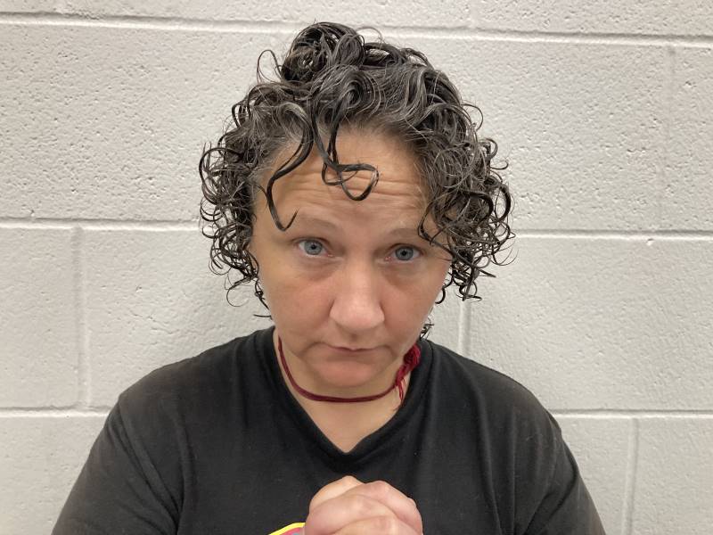 Booking photo of Melissa Eldridge