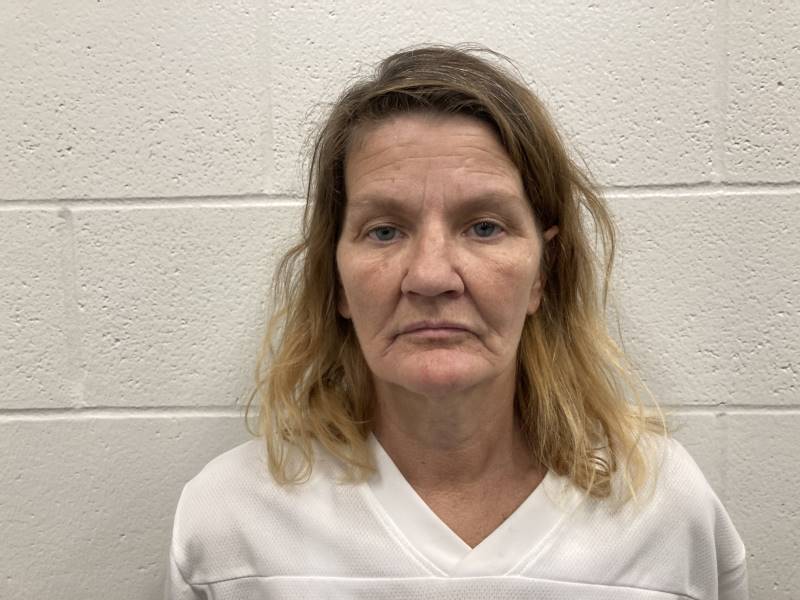 Booking photo of Linda Lee