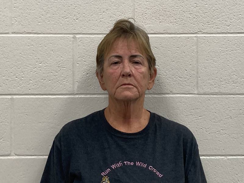 Booking photo of Katherine Bushong