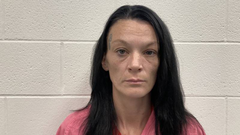 Booking photo of Ashley Retchko