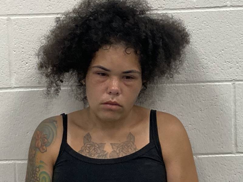 Booking photo of Davita Evans