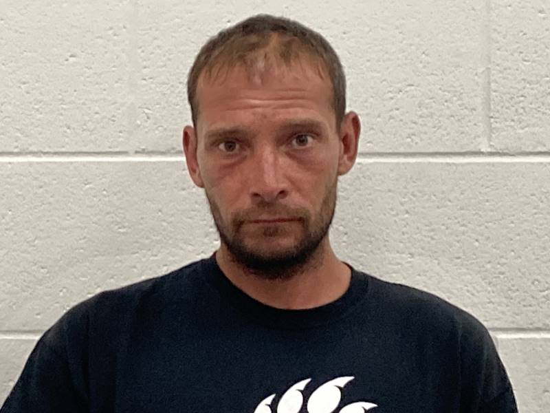 Booking photo of Brian Sandlin