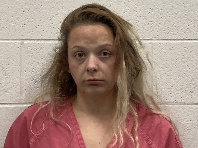 Booking photo of Megan Fryar