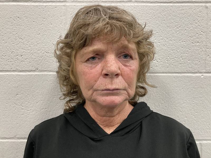 Tina Alsip booking photo