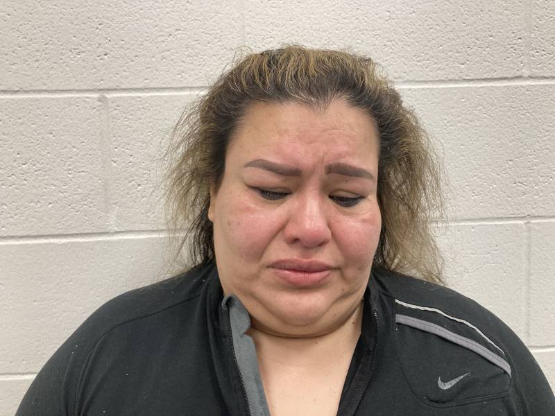 Susana Amacemves booking photo