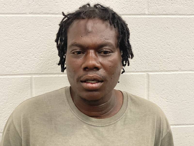 Booking photo of Dominique Richardson