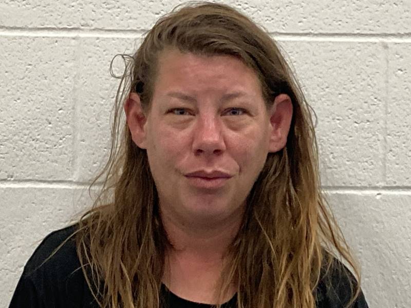Booking photo of Victoria Terlau