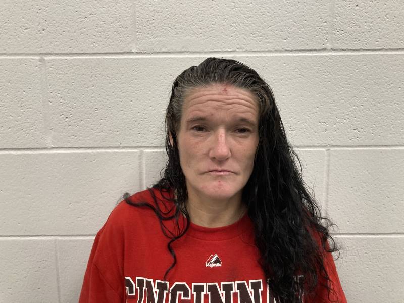 Booking photo of Monica Fetters