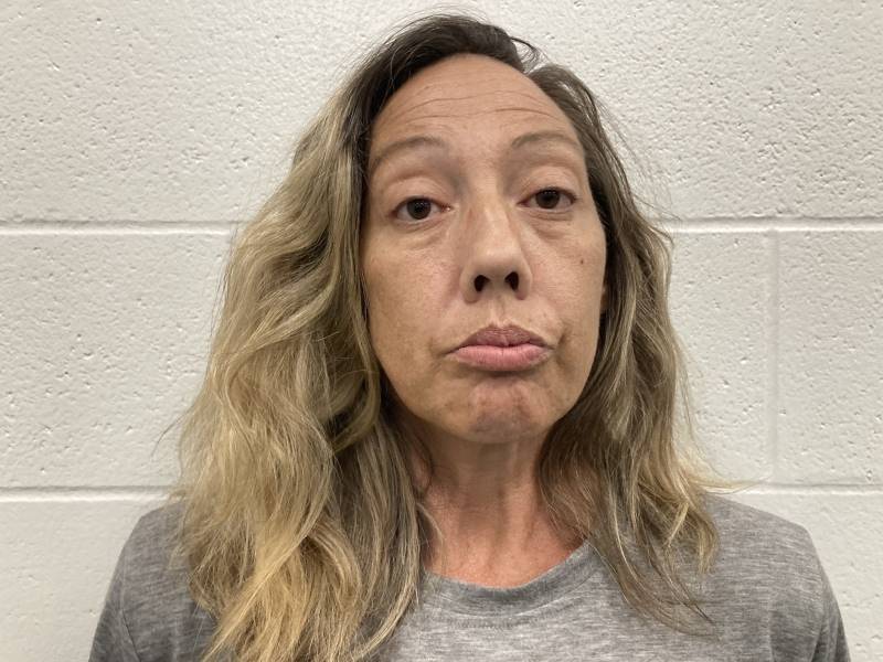 Booking photo of Julie Hedges