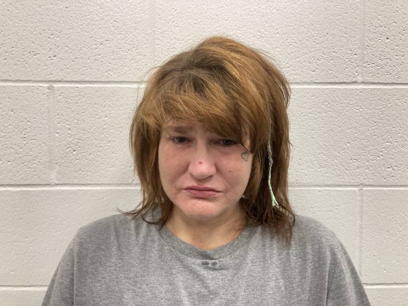 Booking photo of Heather Cook