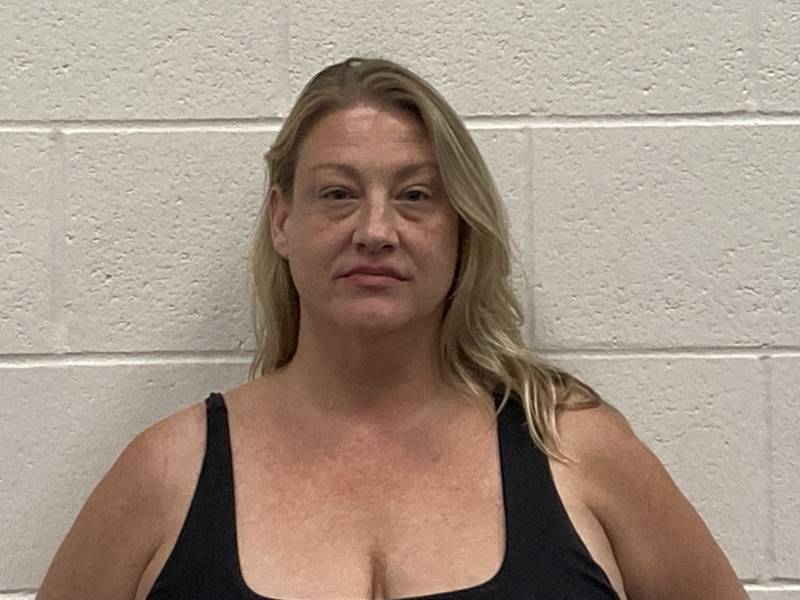 Booking photo of Krista Kleem