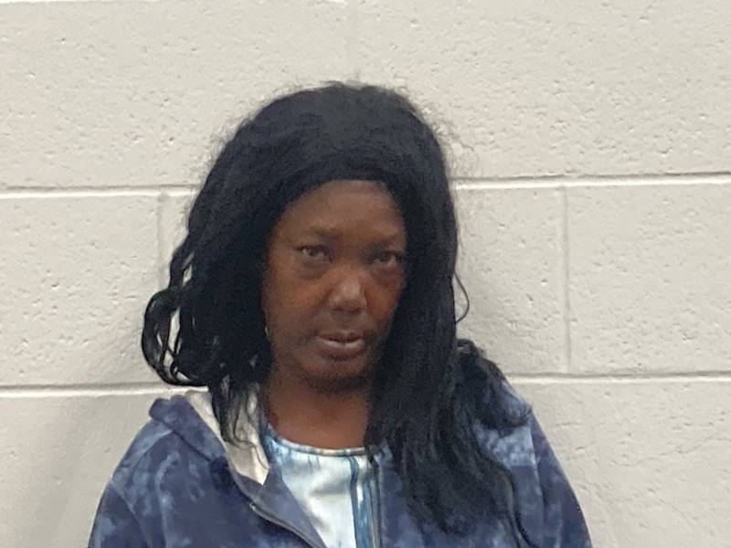 Booking photo of Sylvia Partee