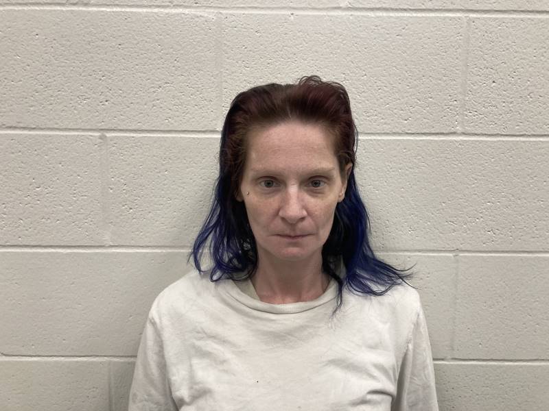 Booking photo of Tonya Peterson