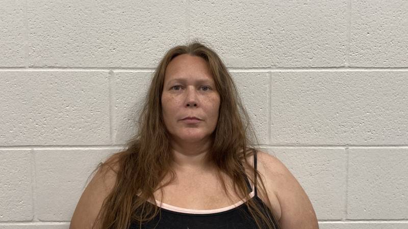 Booking photo of Amanda Morris