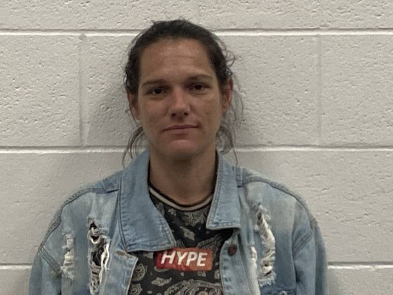 Booking photo of Amanda Fisher
