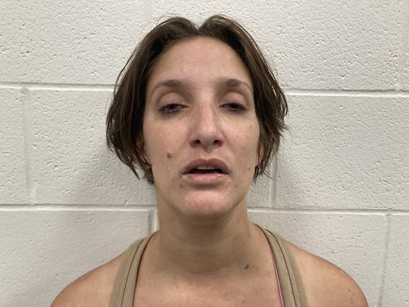 Booking photo of Denise Concepcion