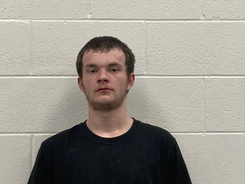 Booking photo of Skylar Brown