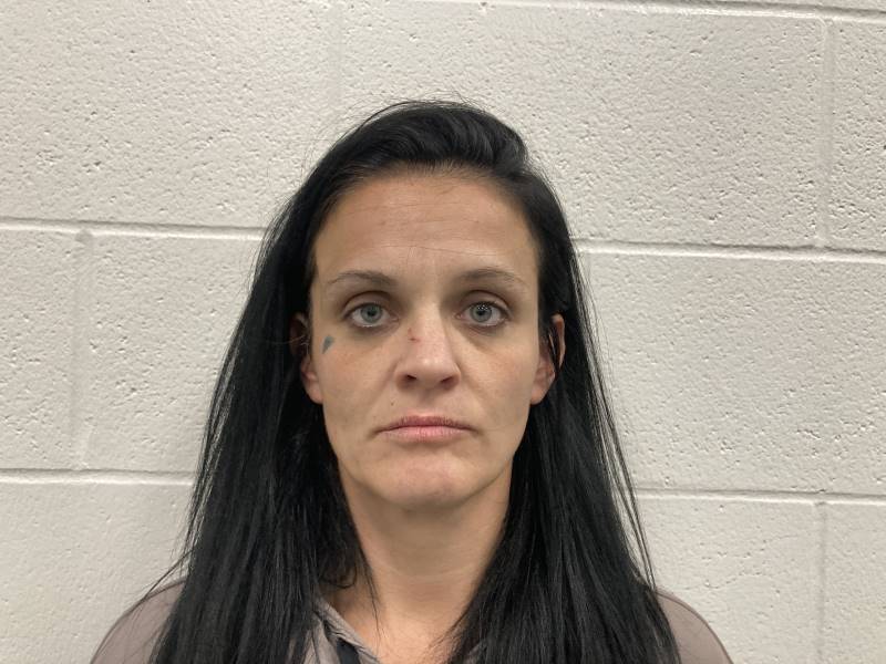 Booking photo of Randi Fulmer