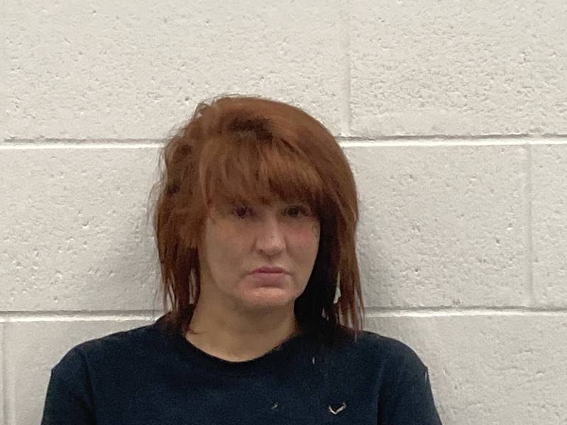 Booking photo of Heather Cook