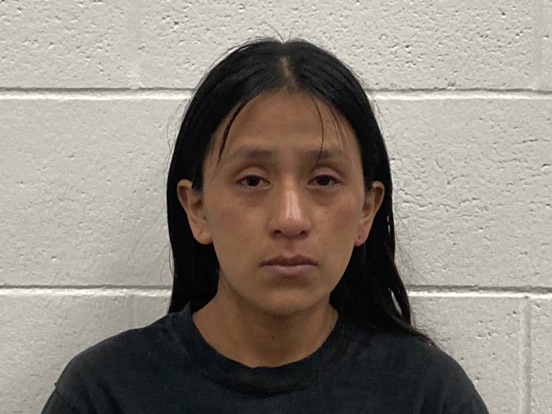 Booking photo of Maricela Vasquez Mendez