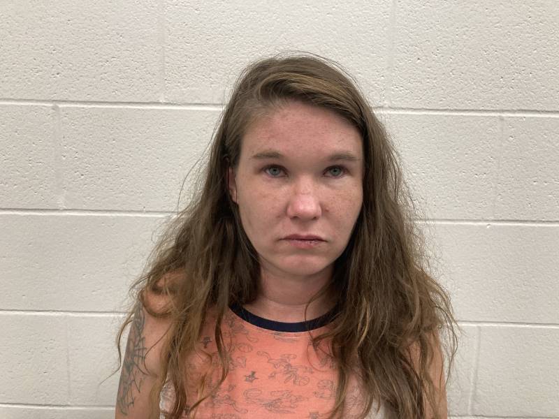 Booking photo of Erica Smith